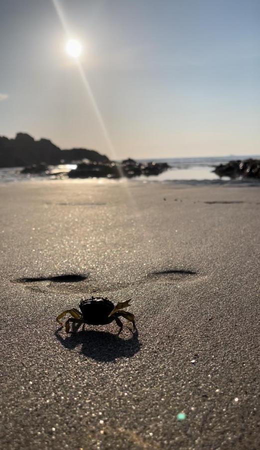 Hotel De La Baie Des Trepasses Plogoff Zewnętrze zdjęcie