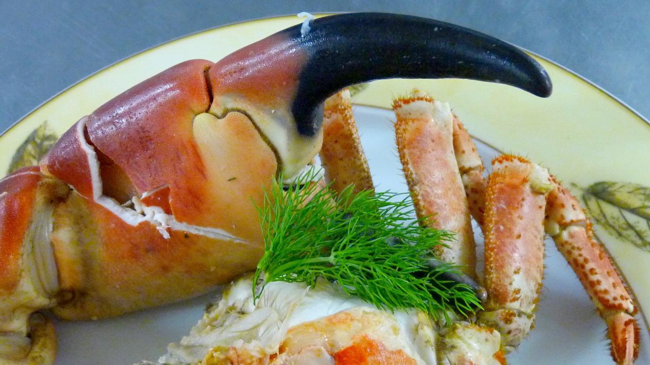 Hotel De La Baie Des Trepasses Plogoff Zewnętrze zdjęcie